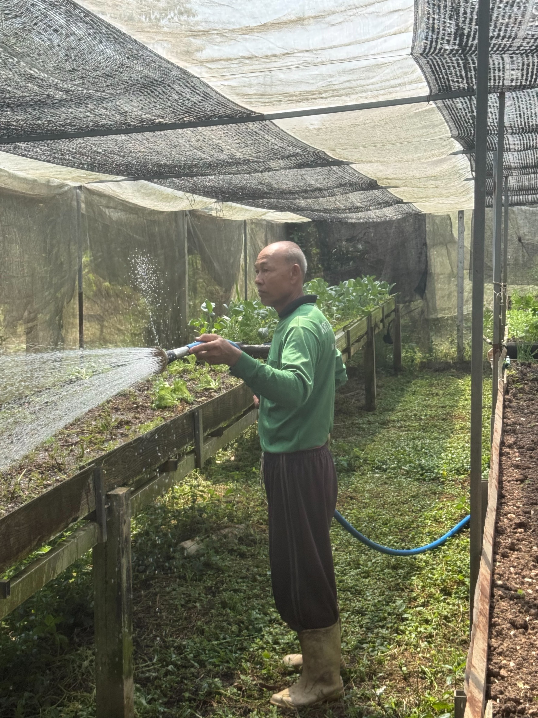 Manual watering in the garden